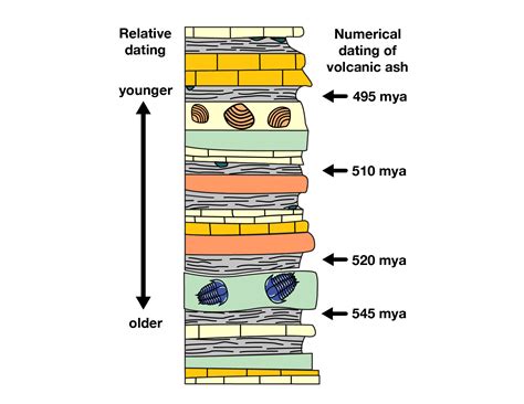 for radiometric dating you need to know which of the following the sequence of rock layers